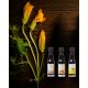 Štajersko prekmursko bučno olje Slovenija pumpkin seed oil 20 ml